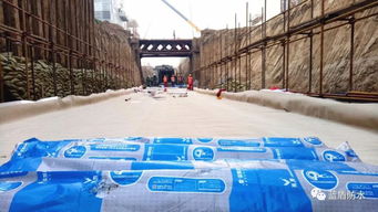 高分子防水卷材成為 建材工業鼓勵推廣應用產品