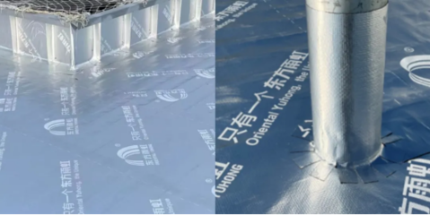 東方雨虹再獲金禹獎,攜手寶馬續(xù)寫合作新篇章